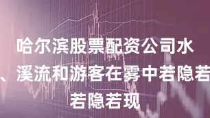 哈尔滨股票配资公司水杉、溪流和游客在雾中若隐若现